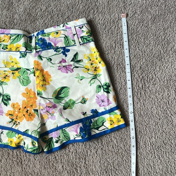 Ann Taylor shorts, petite OP - Picture 6 of 6